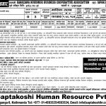 KANAZAWA NUKUMORI BUSINESS COOPERATIVE ASSOCIATION